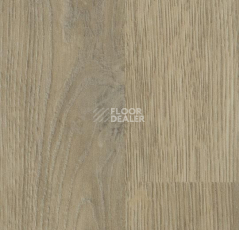 Линолеум Forbo SureStep Wood 18962 whitewash oak фото 1 | FLOORDEALER